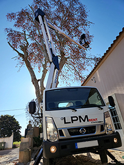 Camião LPM Rent com plataforma elevatória a realizar poda de árvores no Carregado - Serviços de elevação e manutenção de espaços verdes